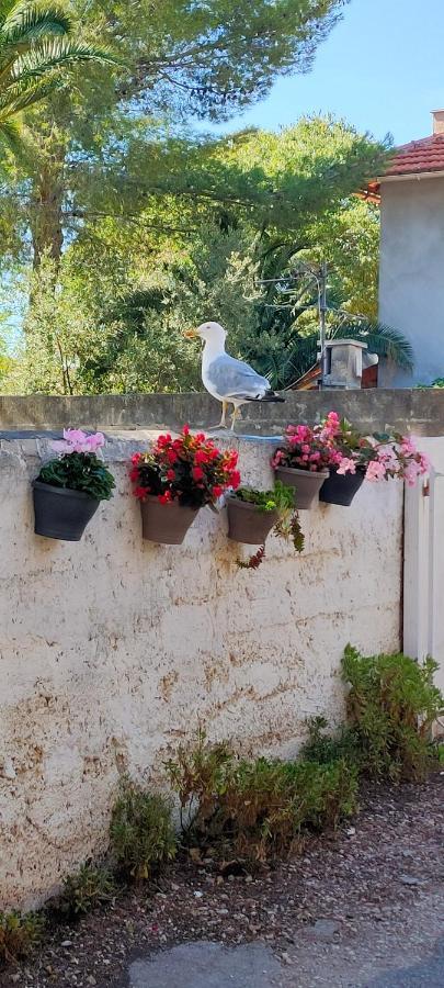 Joli Studio Les Pieds Dans L Eau Avec Place De Parking Gratuite Bandol Esterno foto